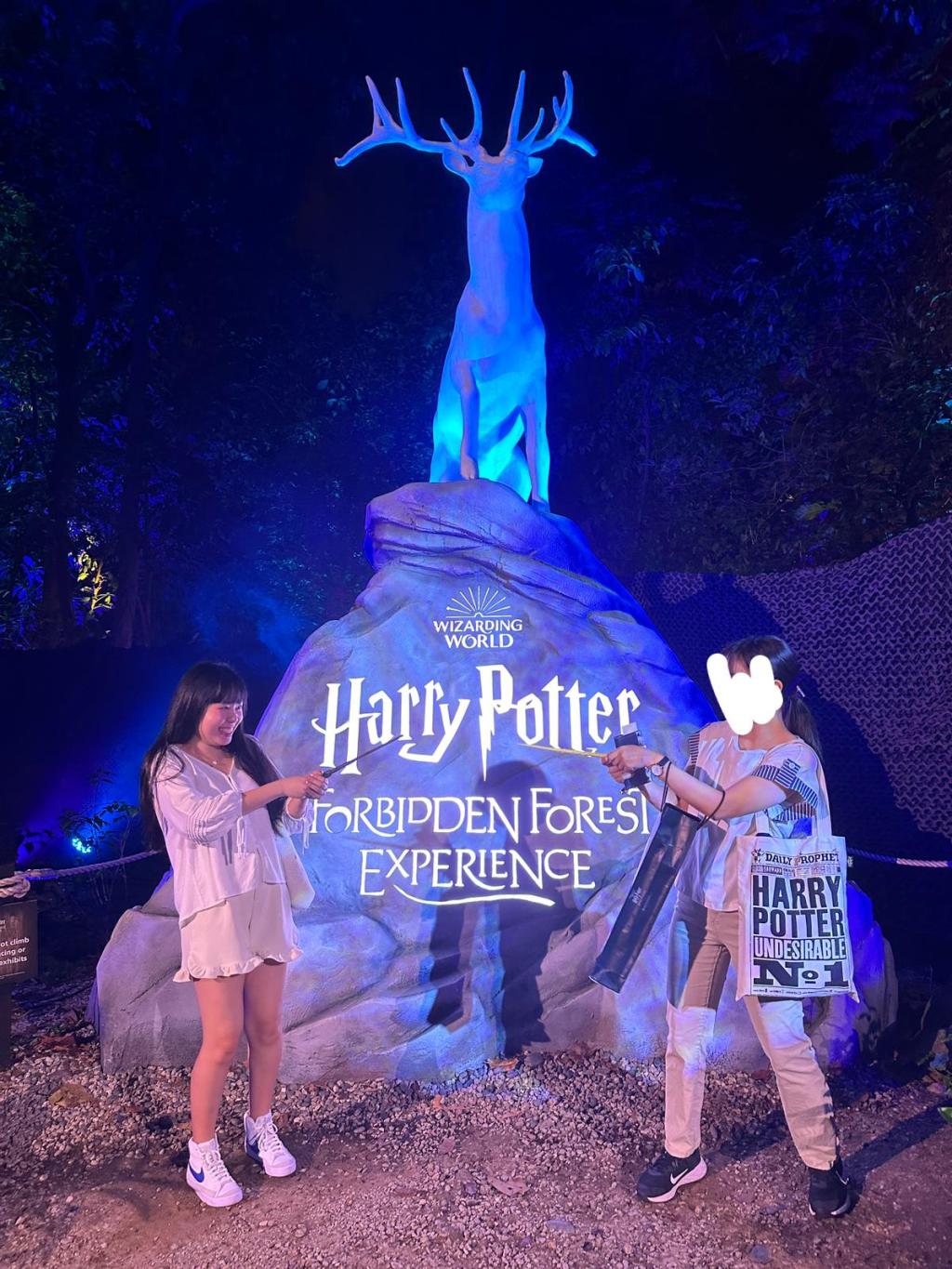 Fever tickets bought online to venture into the forbidden forest